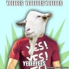 33058